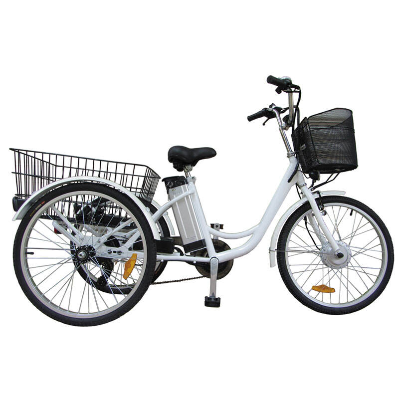 48V 250W Aluminium Alloy FrameTrike Electric Cargo Bicycle ET-005