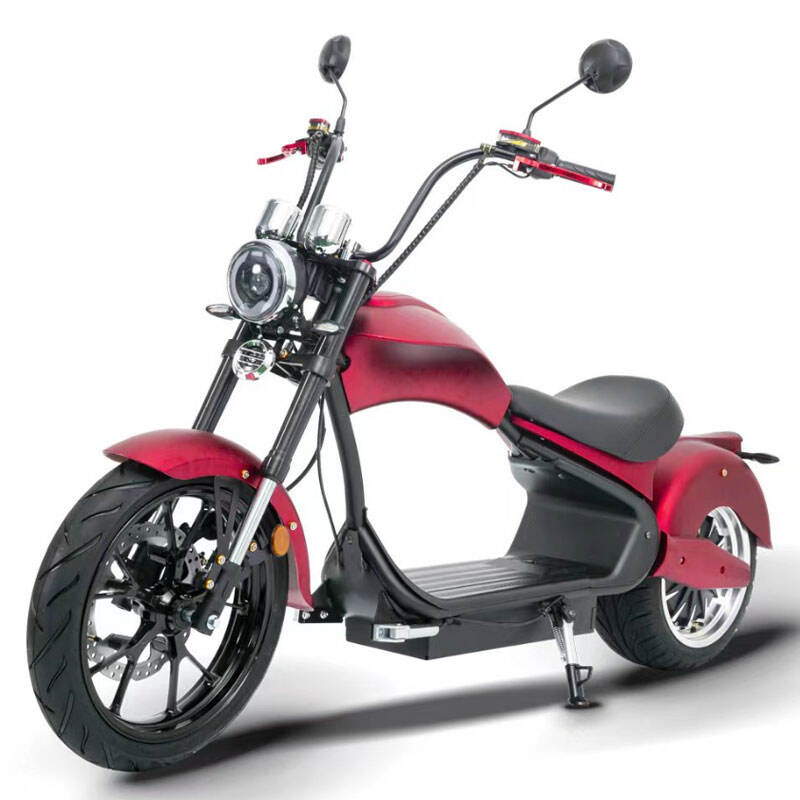 Yüksek Hız 200kg Yükleme Kapasitesi EEC Sertifikalı 2 Tekerlekli Elektrikli Scooterler Yetişkinler İçin - CRUISER