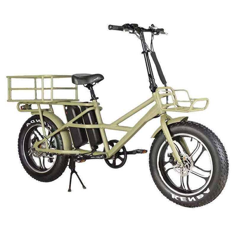 750W 48V Brushless Rear Hub Motor Electric Bike with Internal Battery Range King