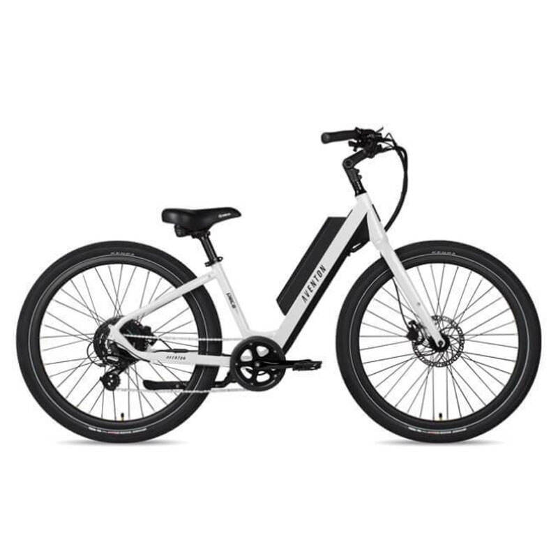 48V 350W Electric Mountain Bike Electric Dirt Bike Step-Thru