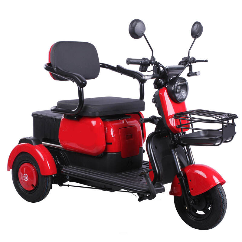 Eco-Friendly ElectricTricycle 48V 650W Motor Electric Scooter 3 Wheel Motorcycle for Adults NEW X3