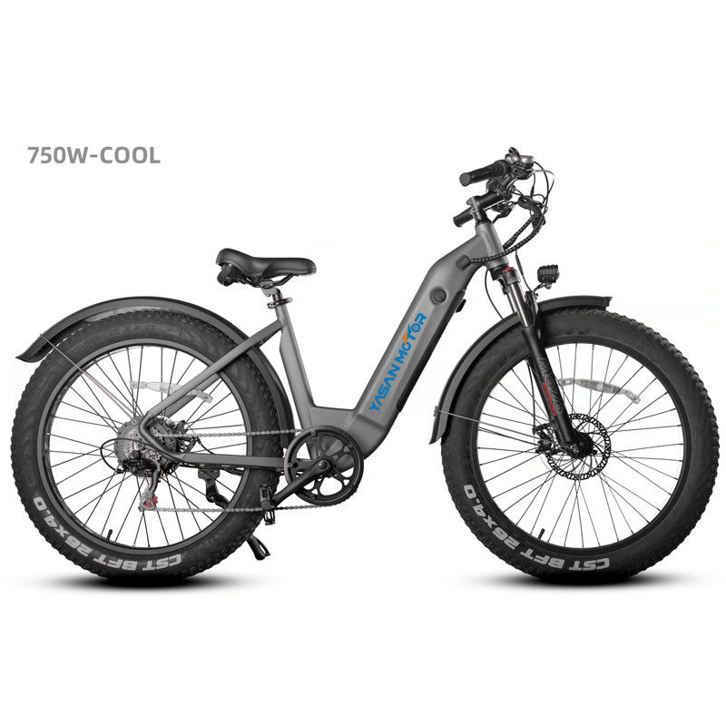 Aluminium Alloy Dengan Baterai Internal E-bike Gunung Listrik COOL