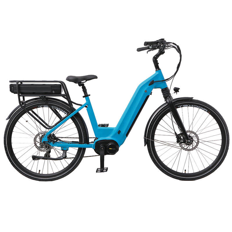 Bicicletă Electrică cu Amortizare Medie 48V 350W 2Wheel Long Range Dark Horse