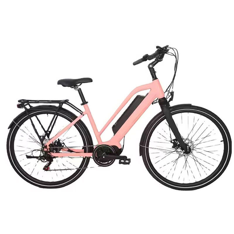 36V 250W Mid Drive City eBike CEB-009A