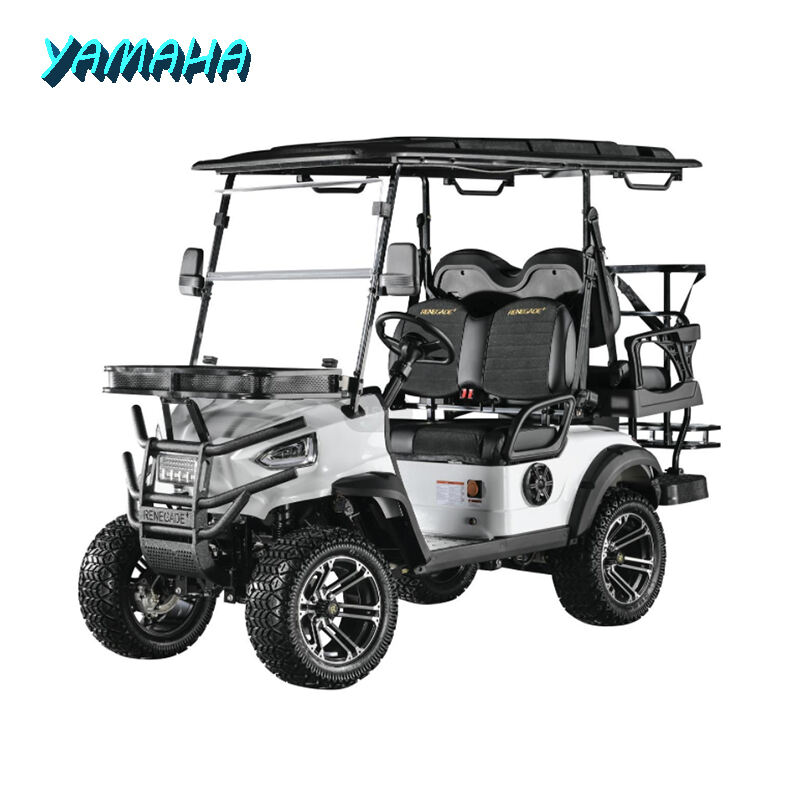 BSR50EG - Chariot de golf GC50 5000W 48V 150AH refroidi par air, propulsion arrière, confortable, haute vitesse 40 km/h