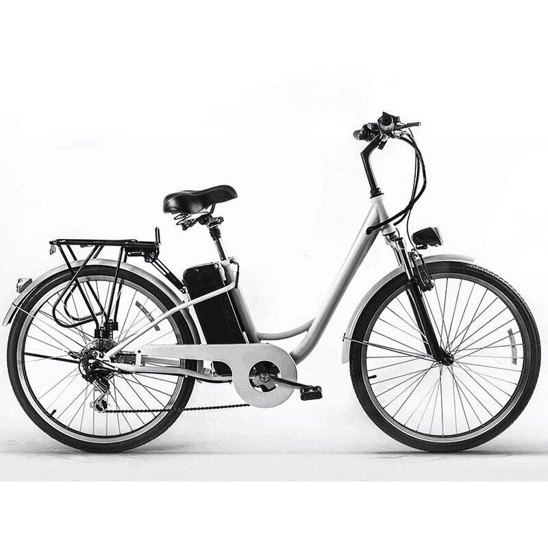 48V 500W Bezčerpadlový zadný hubový motor E-bike Elektrická bicykla Citylight 500