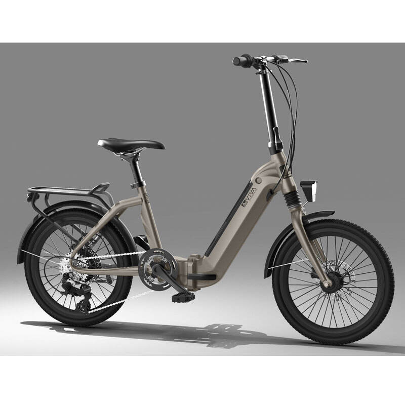 Bicicleta elèctrica plegable de 6 vitesses amb pneumàtics gruixuts de 36V 250W 10.4Ah Lítium TDN09Z