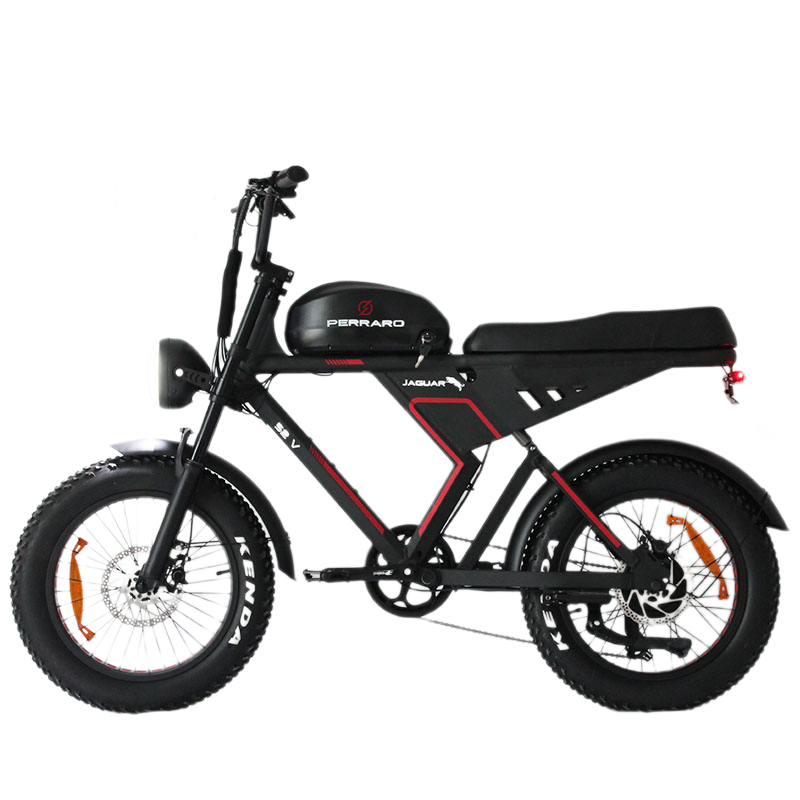 Hög Hastighet 750W*2 Dubbel Motor Ny Jaguar eBikes