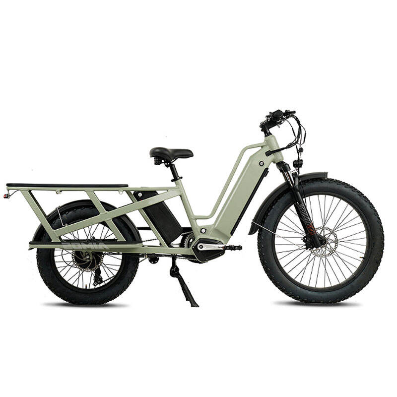 750W 48V Brushless Rear Hub Motor Electric Bike Big Cargo Carrier Range King 2.0