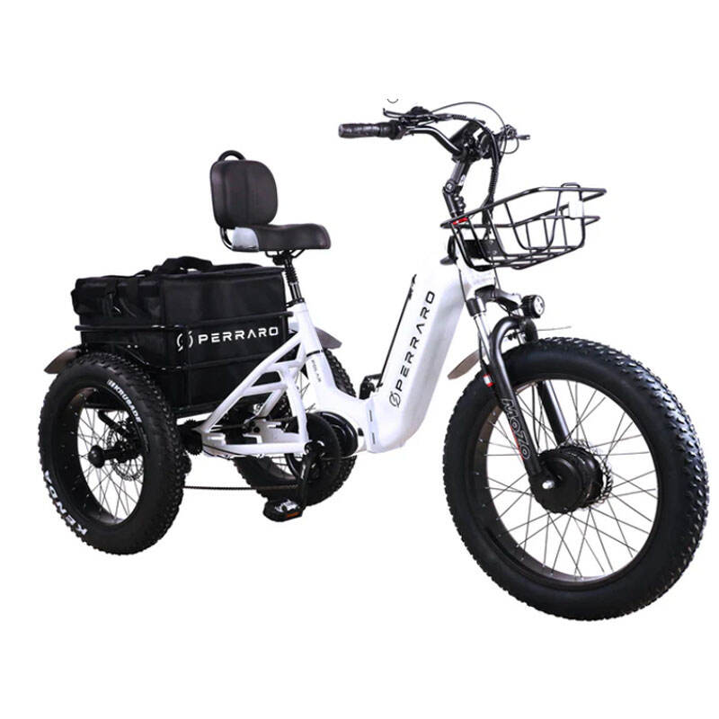 750W 48V UL2849 Three Wheel Electric Trike Cargo Bike For Adults Polaris