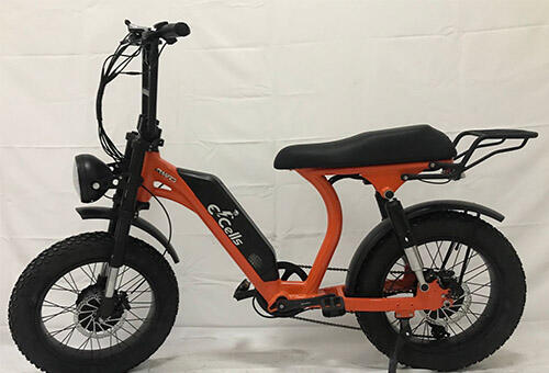 Fashion Luxury 2 Wheel Long Range Turbo eBike supplier