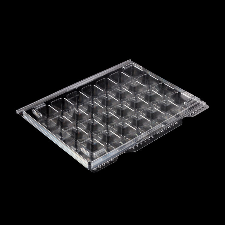 How Blister Packaging Ensures Medicine Safety and Integrity