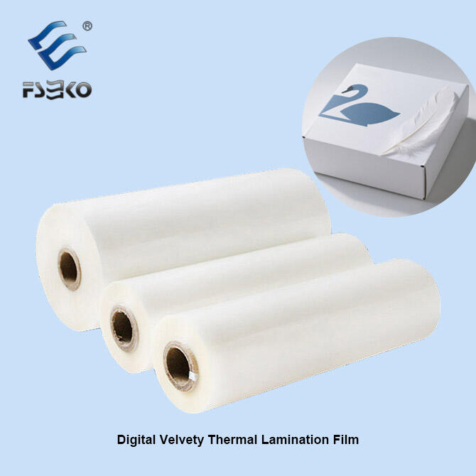 Cách Chọn Màng Ép Nhiệt Cho Bao Bì Cao Cấp?