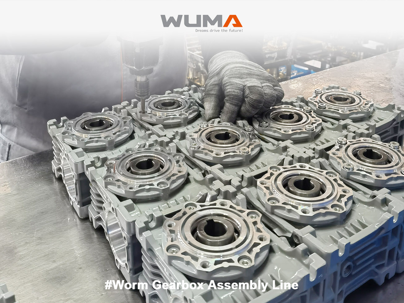 图片 3(cddf4b9885).png