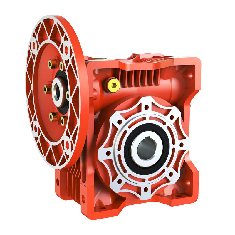 WMRV Worm Gear Reducers (Unique Design)