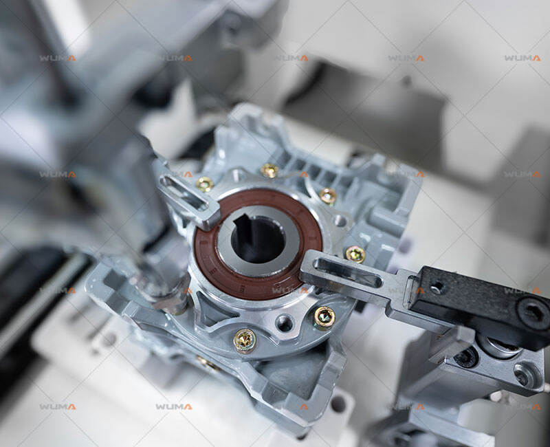 CUSTOMIZATION OPTIONS