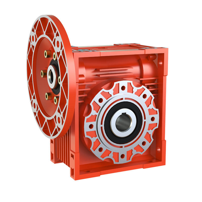 WMRV Worm Gear Boxes (Classic Design)