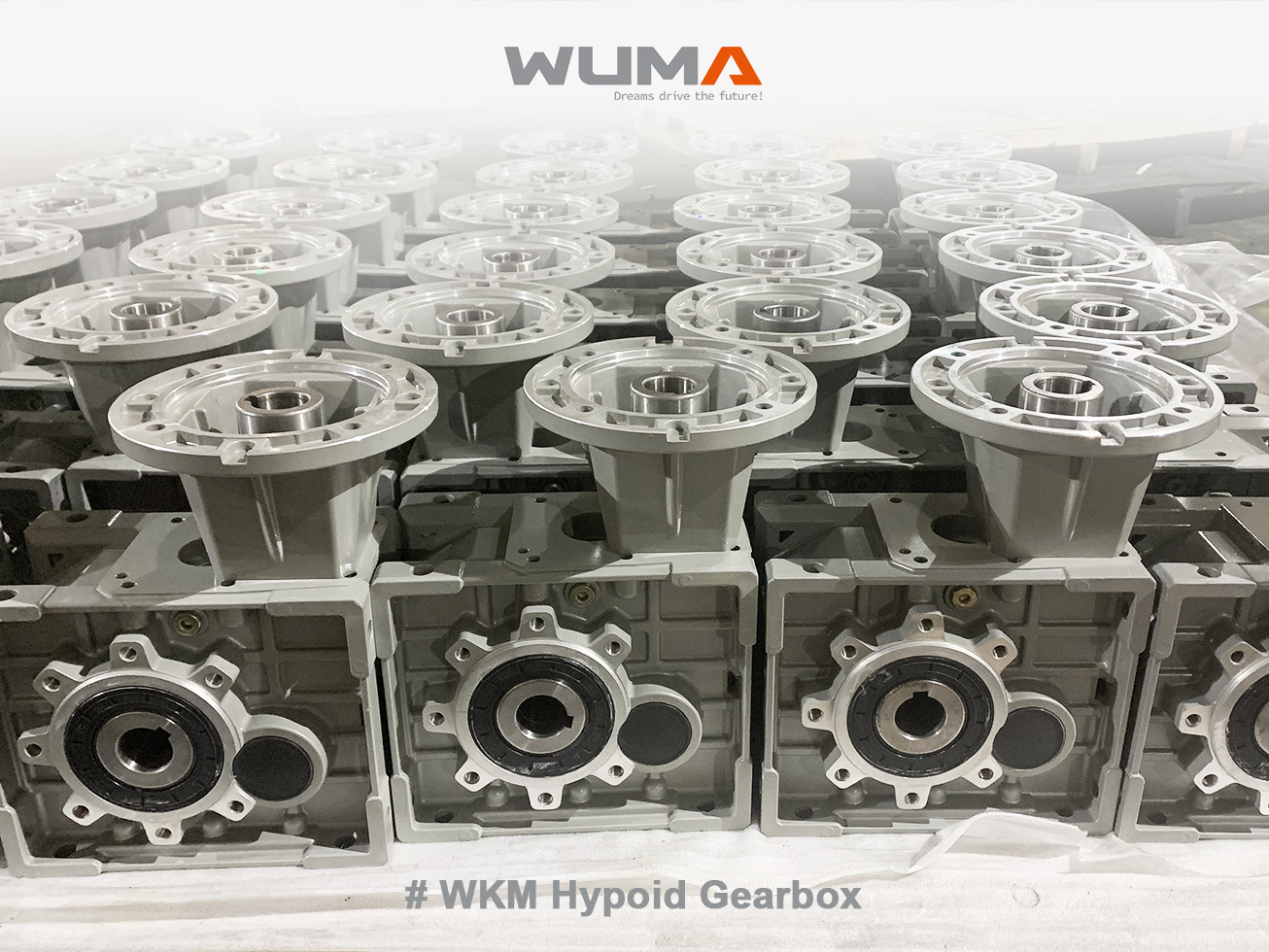 Hypoid Gear Reducer: A 