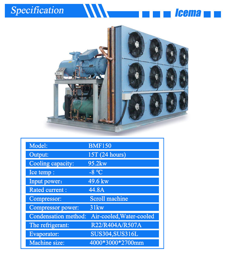 Icema Custom 15T Ice Flake Making Machine details