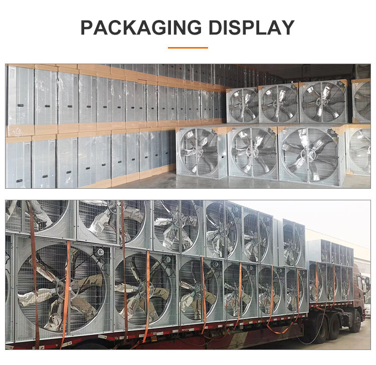 1530mm Cow shed galvanized industrial stainless steel wall fan ventilation exhaust fan manufacture