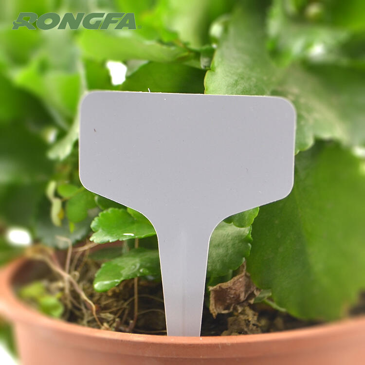 Garden  Thin Plastic T-Type Plant Label details