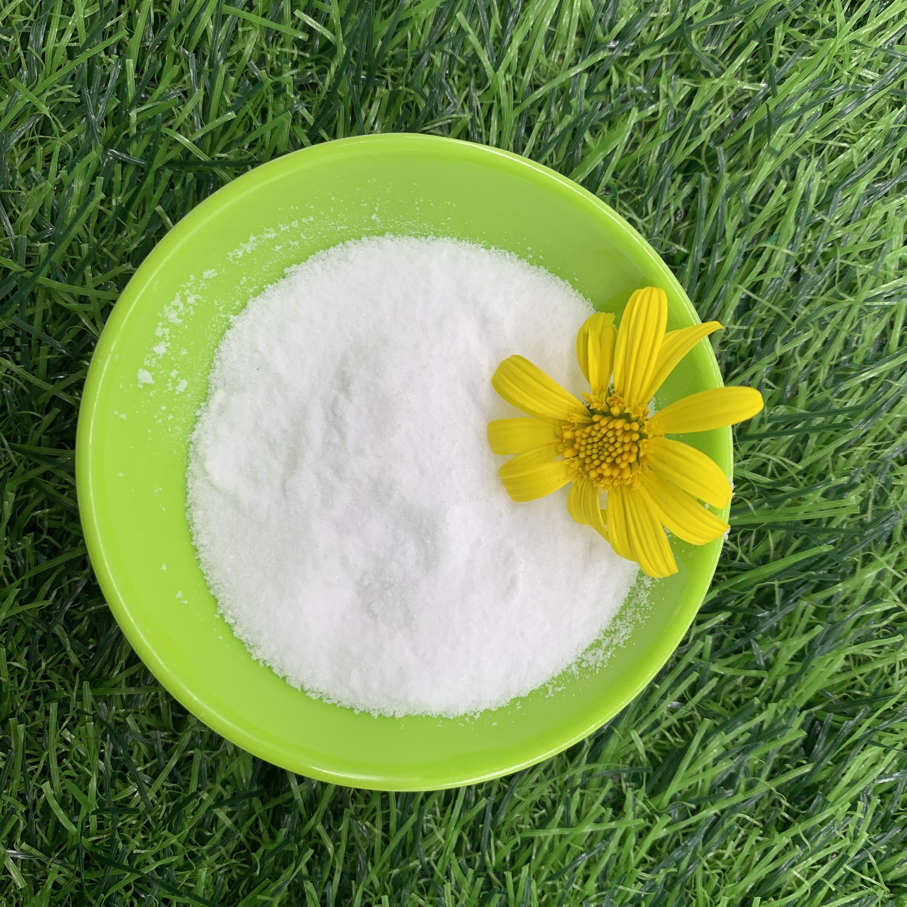 SUNDGE New Animal Feed Additive Powder 95% 96% 97% 98% CAS 107-43-7 Betaine Anhydrous supplier