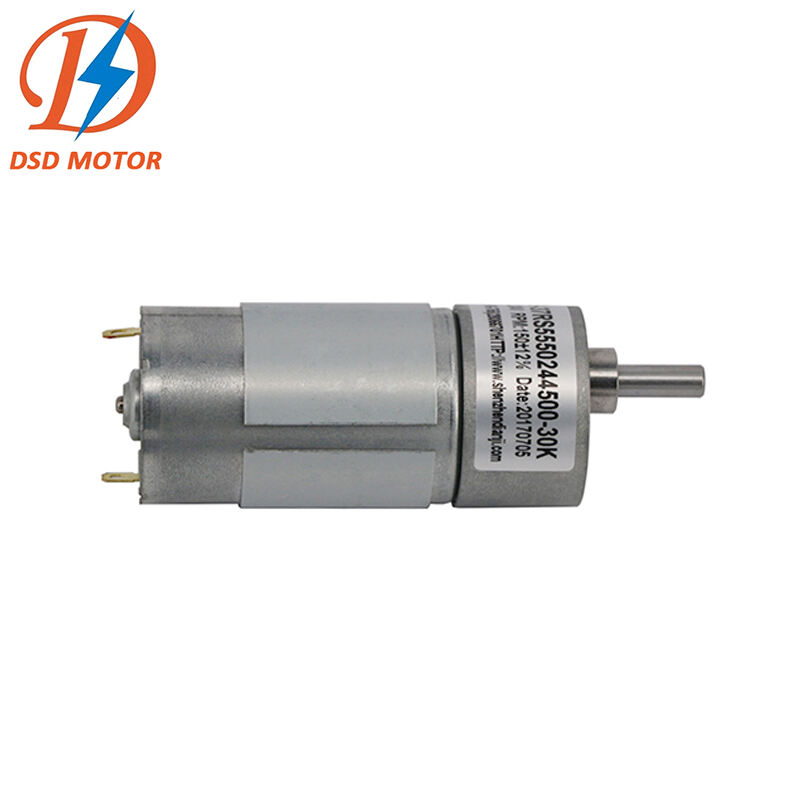 Mini Motor DC 12 Volt 3V 6V 24V High Torque Low Speed Reversed Electric Motor Reduction Engine 12v Gear Motor supplier