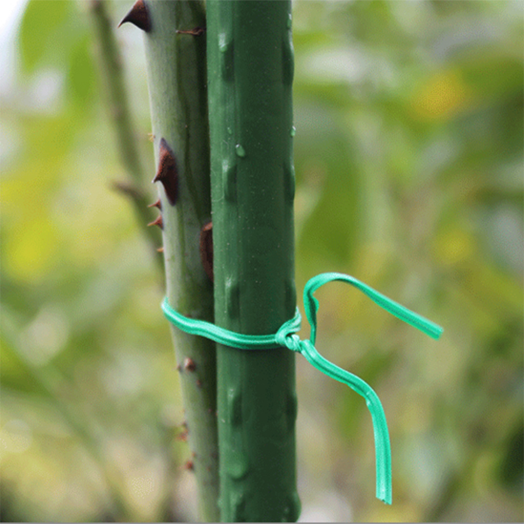 Pre-cut Plastic Bind wire Twist Ties manufacture