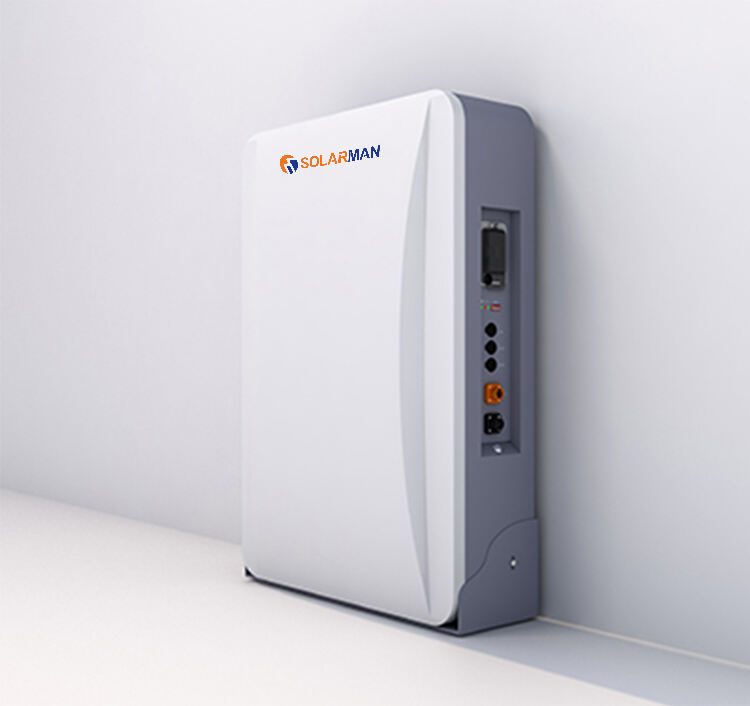 Dostawca akumulatorów SOLARMAN LFP 5000 51.2 V 100 Ah