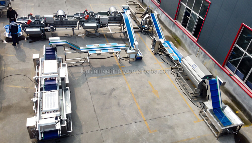 LONKIA Baby Spinach Lettuce Cabbage Fruit And Salad Leafy Vegetables Processing Packing Production Line details