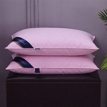 Hot sale soft good for neck vacuum packing 1000g pillows for hotel and home details