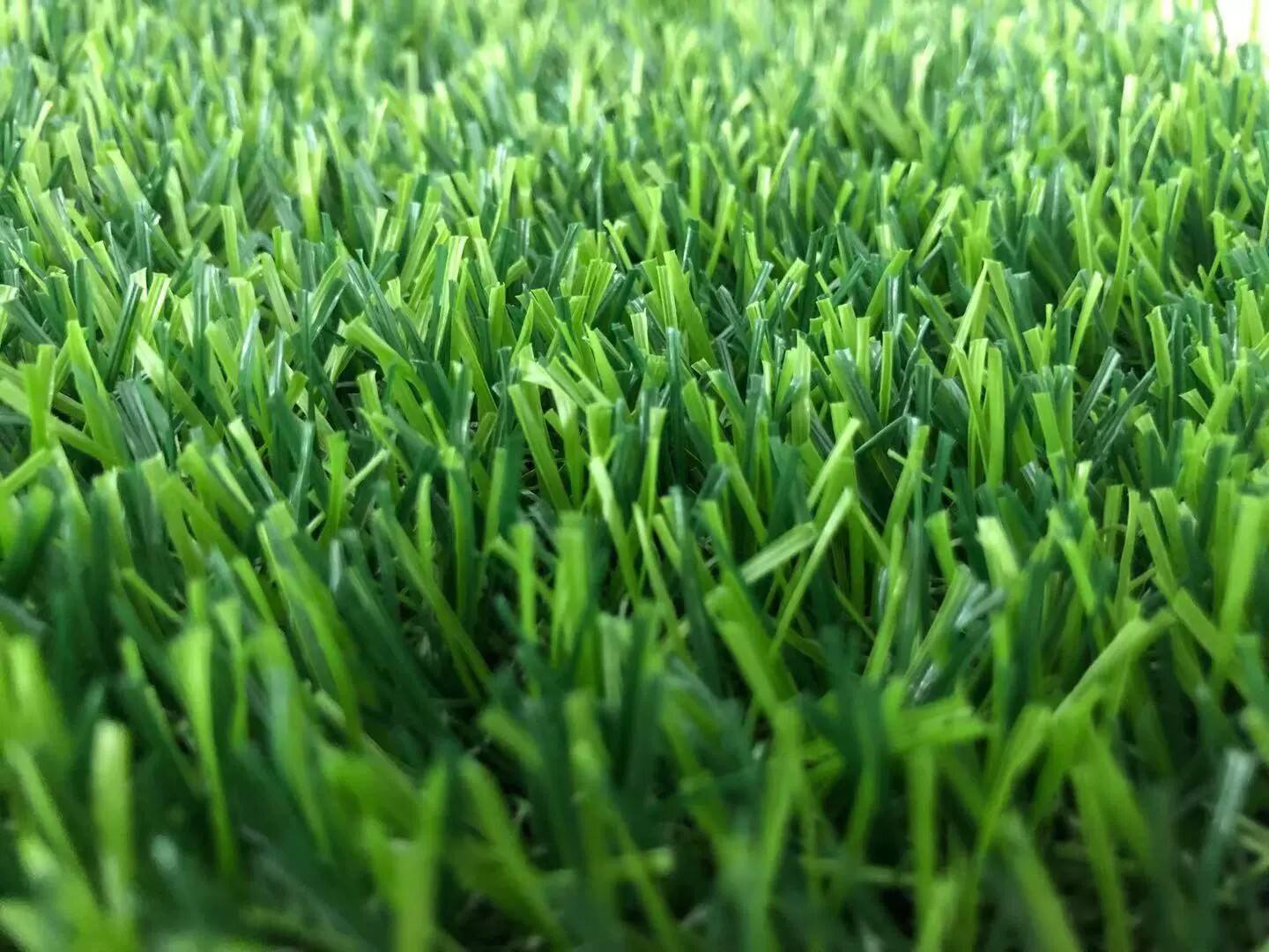 Special Design Artificial Carpet Fitness Gym Floor Synthetic Turf Grass Green Carpet Artificial Grass Fake Grass manufacture