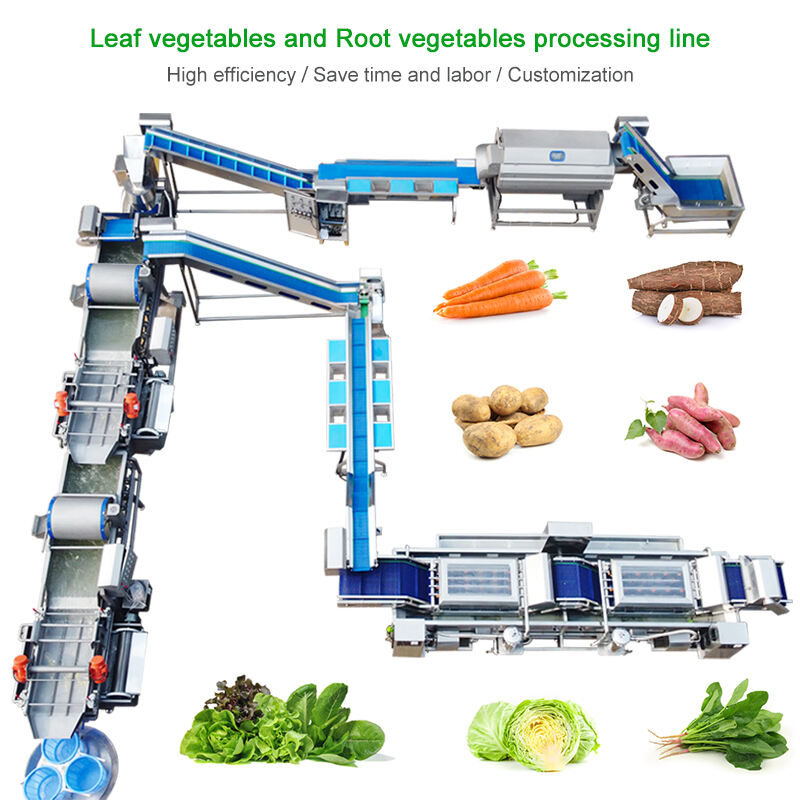 LONKIA Baby Spinach Lettuce Cabbage Fruit And Salad Leafy Vegetables Processing Packing Production Line manufacture