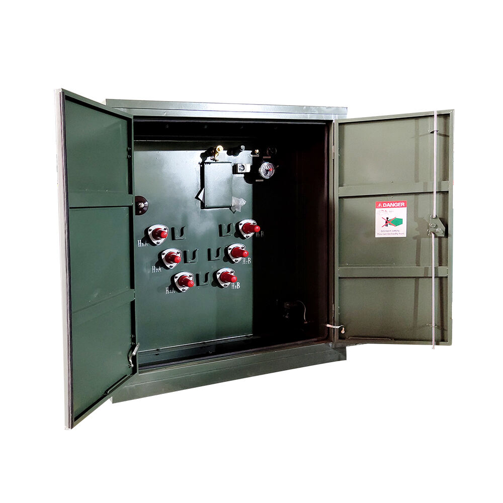 High Quality mv & hv Transformers Single Phase 300 kva Transformer Pad Mount With Cabinet supplier