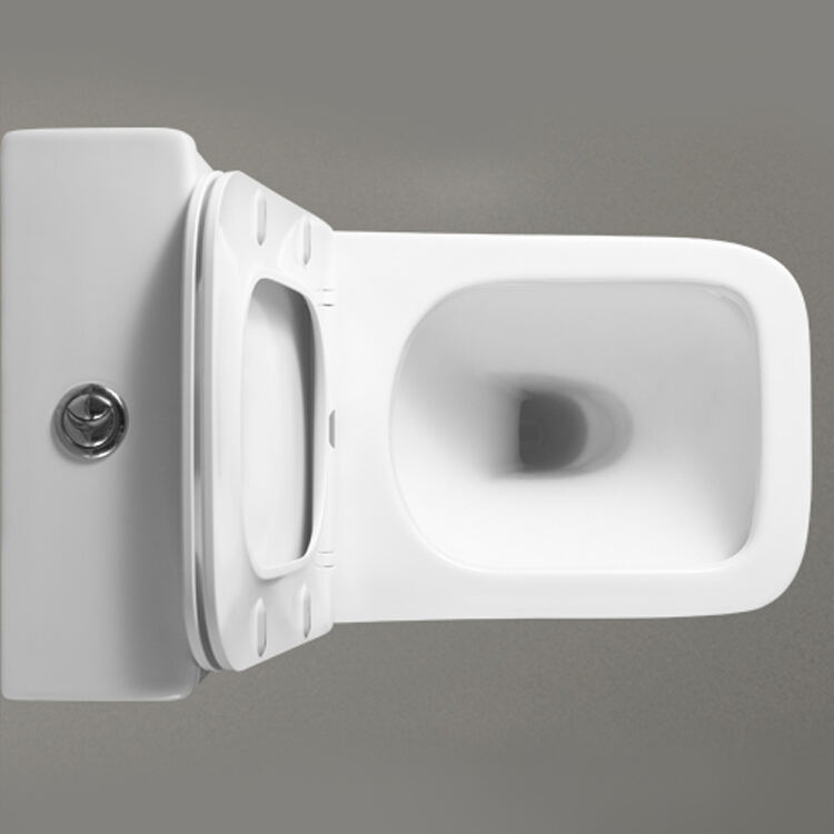 sanitary ware ceramic soft close toilet seat prices floor mounted rimless toilet factory