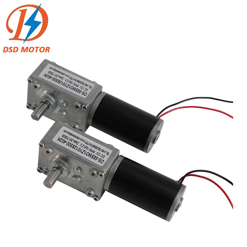 10nm torque dc motor Low Noise 58SW31ZY 58mm gearbox 12v 18v small worm gear dc electric motor for Vending Machine supplier