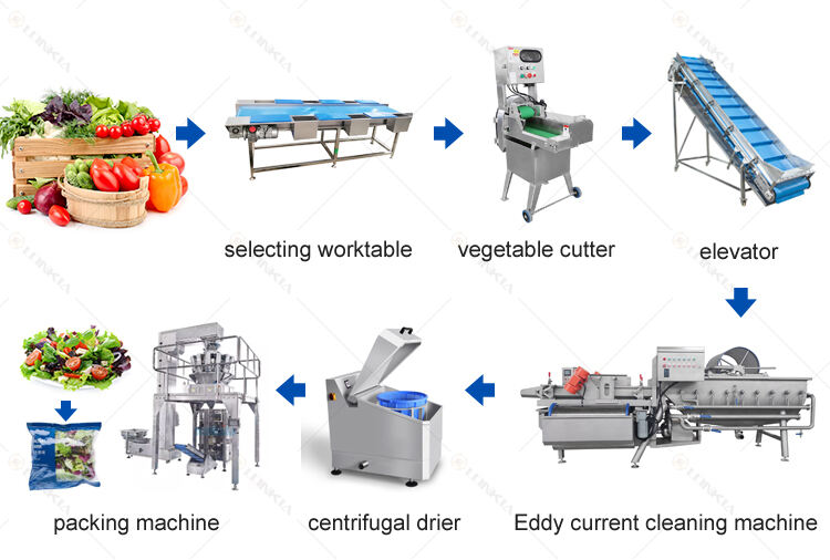 LONKIA Baby Spinach Lettuce Cabbage Fruit And Salad Leafy Vegetables Processing Packing Production Line factory