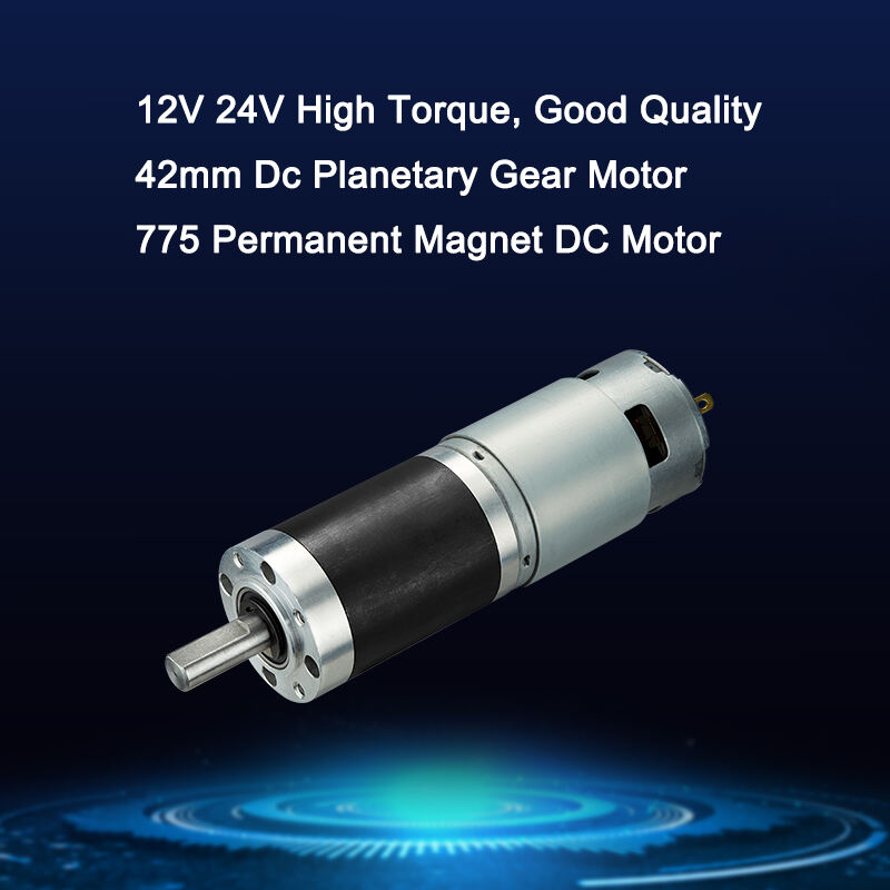 DSD 37mm DC Gear Motor 520 528 555 12V 24V High Quality High Torque Spur Geared DC Motor factory