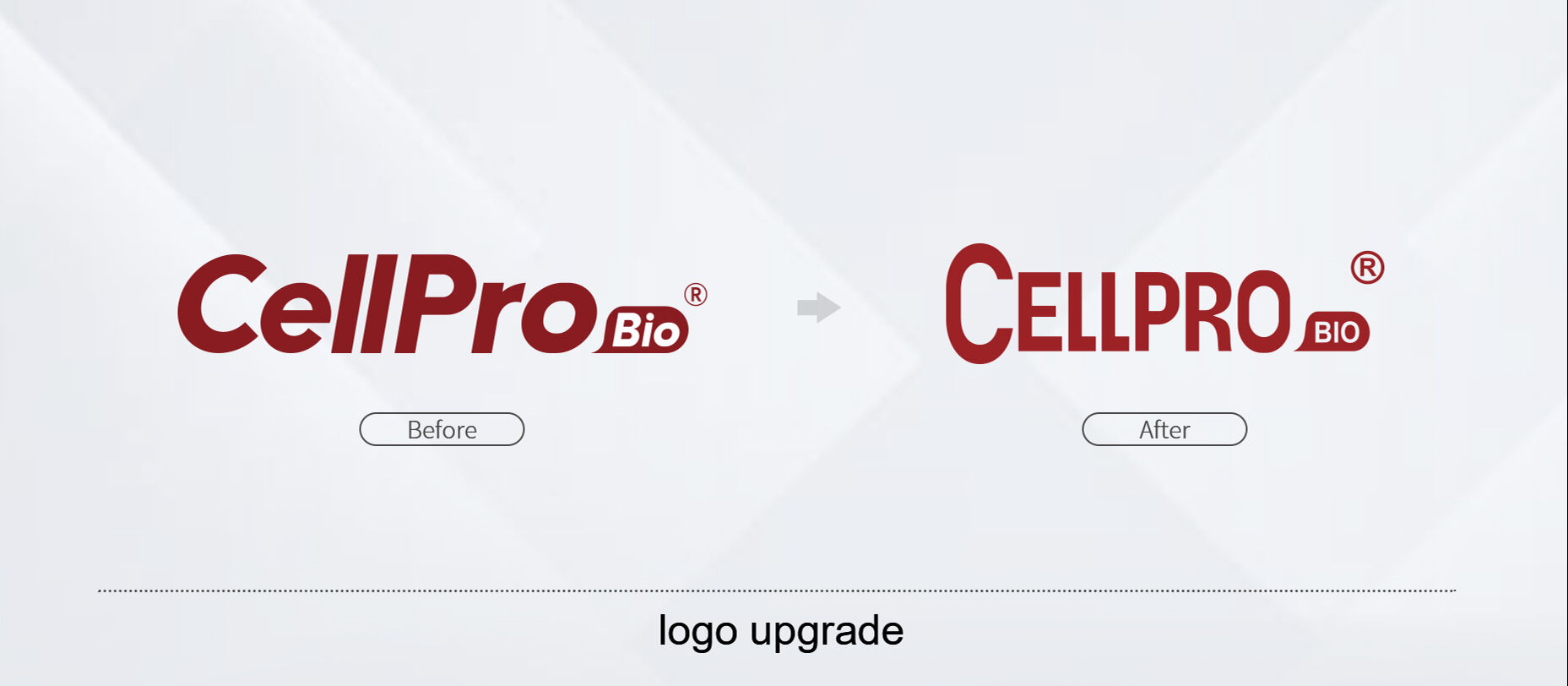 Сучжоуская биотехнологическая компания CellPro, Ltd.