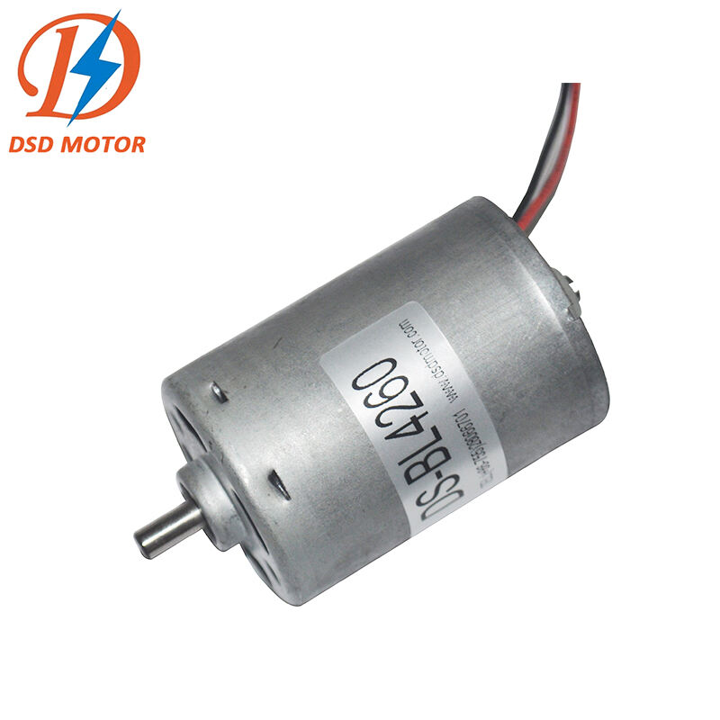 DC brushless motor OEM Factory Customized 4260 12vdc 24vdc High power High Speed Low noise dc motor factory