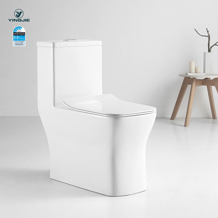 bathroom funiture ceramic siphonic sanitary ware modern one piece wc toilet bowl supplier