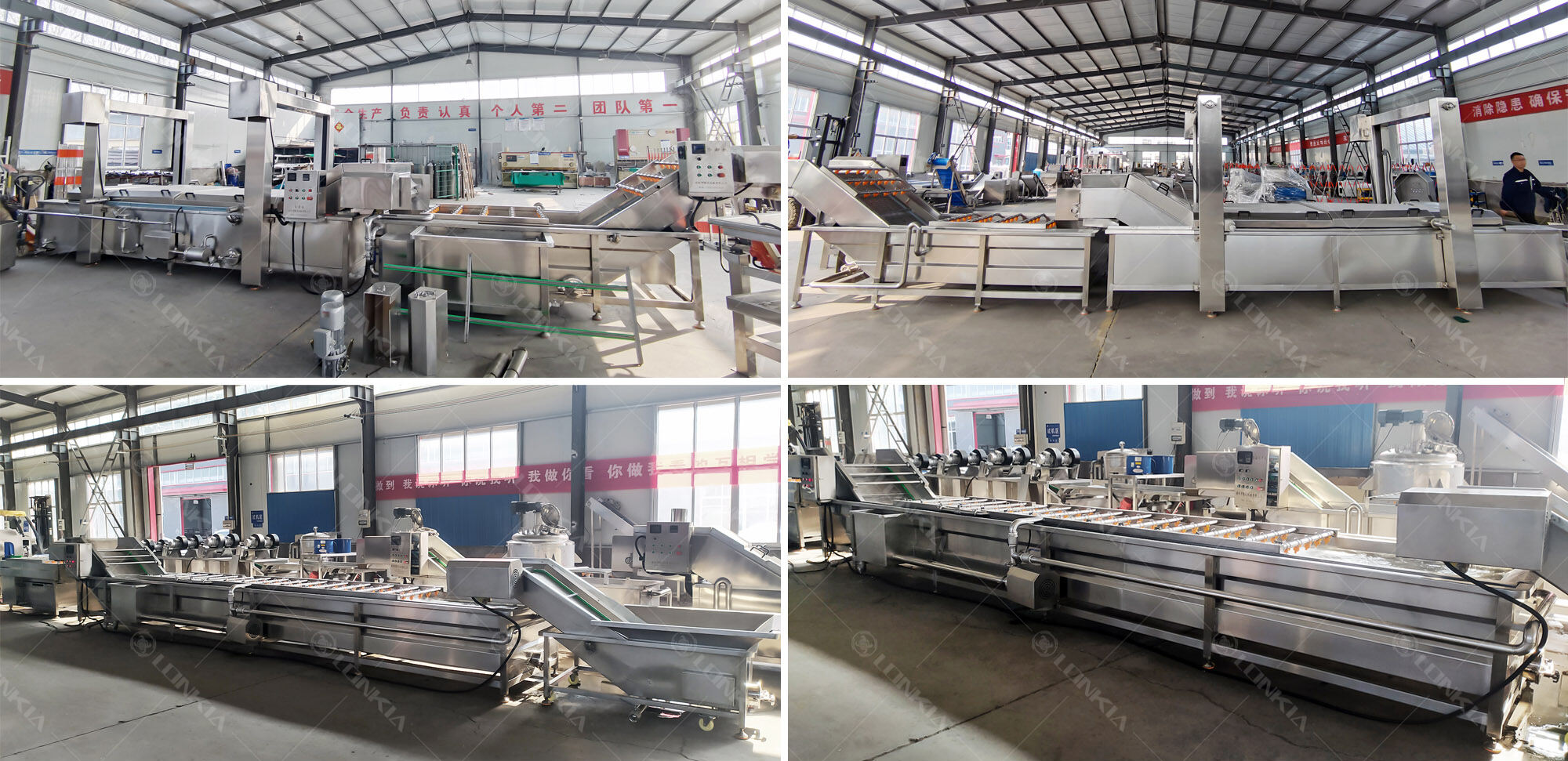 Tomato potato carrot ginger vegetable washing line fruit and vegetable washing drying Mango fruit cleaning machine manufacture