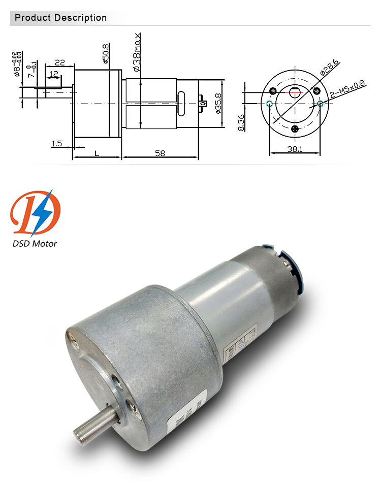 DSD-50RS555 DIY 50mm 6v 12v 24v Dc Motor with Gear Box for Drying Machine factory