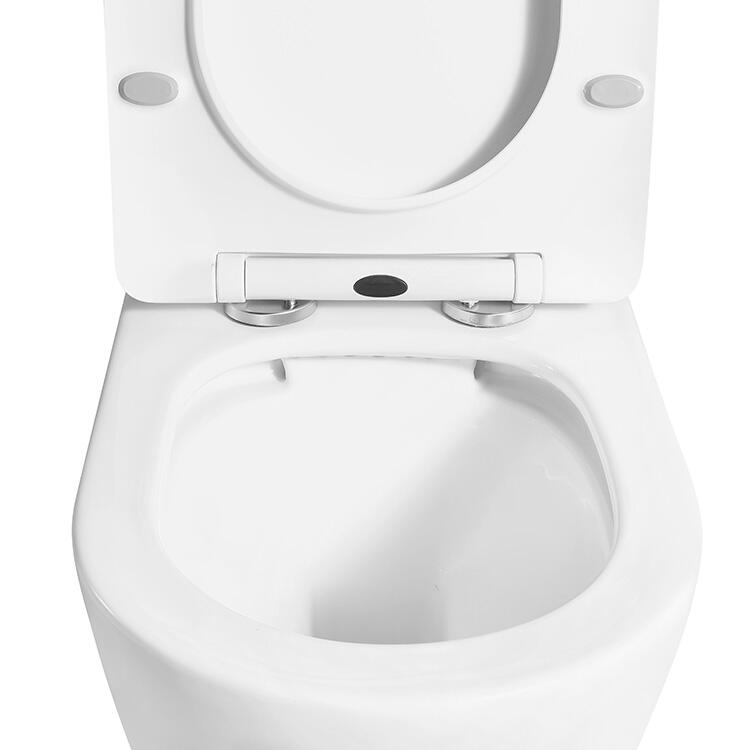 CE Watermark Rimless Washdown Elongated Commode Bowl Seat Dual-Flush Ceramic Wall Hung WC Sanitary Ware Toilet details