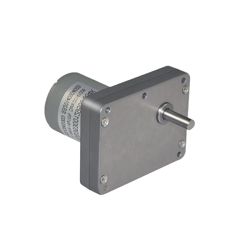 small motor 90 degree shaft gearbox 12V 24V dc gear motor supplier