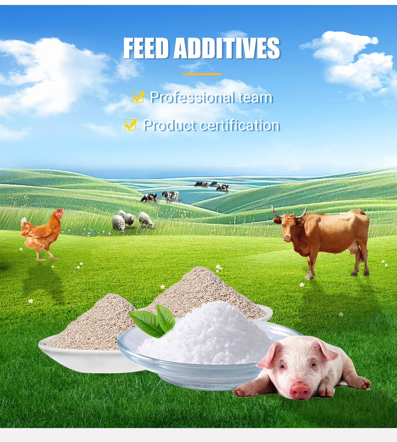 SUNDGE China Factory Good Price Poultry Feed Additives 60% CAS 67-48-1 C5H14ClNO Choline Chloride details