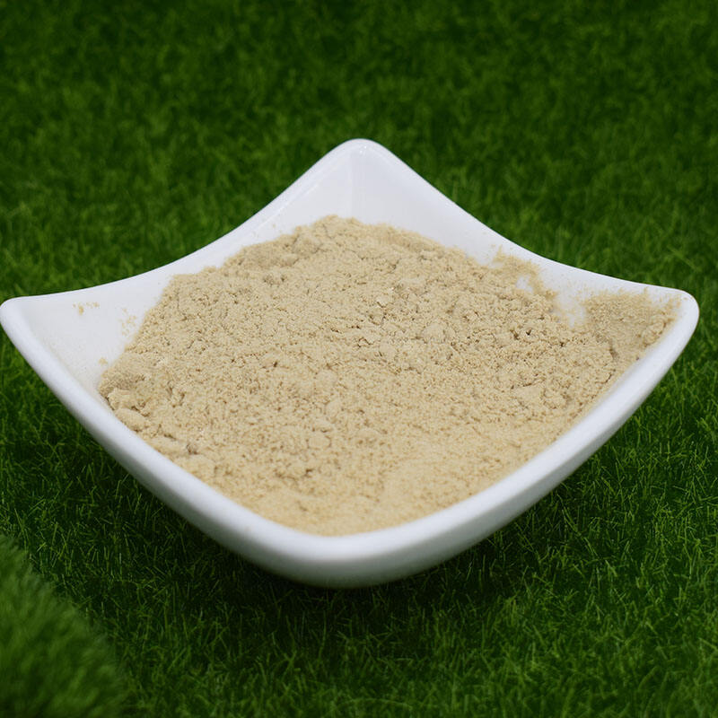 Amino acid Powder