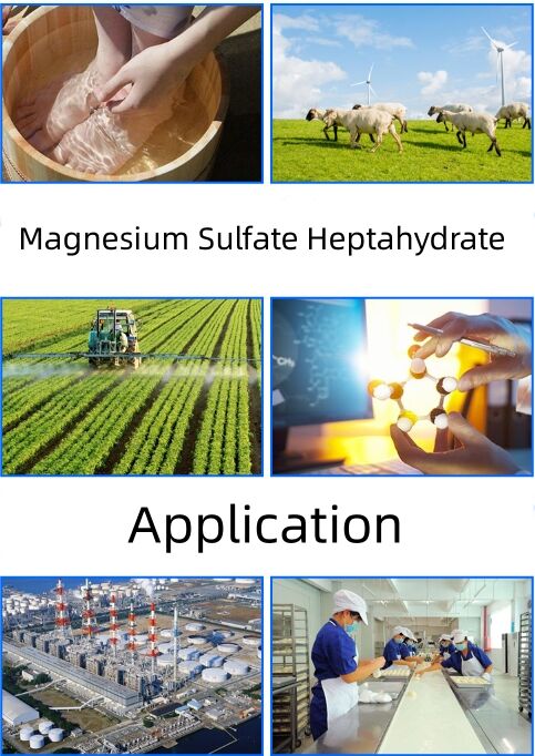 MgSo4 7H2O Heptahydrate Magnesium Sulfate  Agriculture Magnesium Sulfate Food Grade manufacture