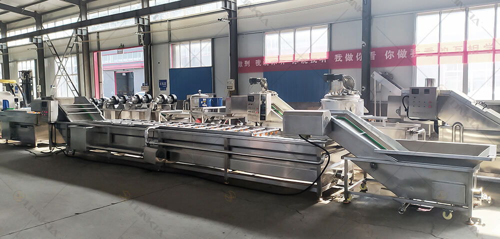 Tomato potato carrot ginger vegetable washing line fruit and vegetable washing drying Mango fruit cleaning machine manufacture