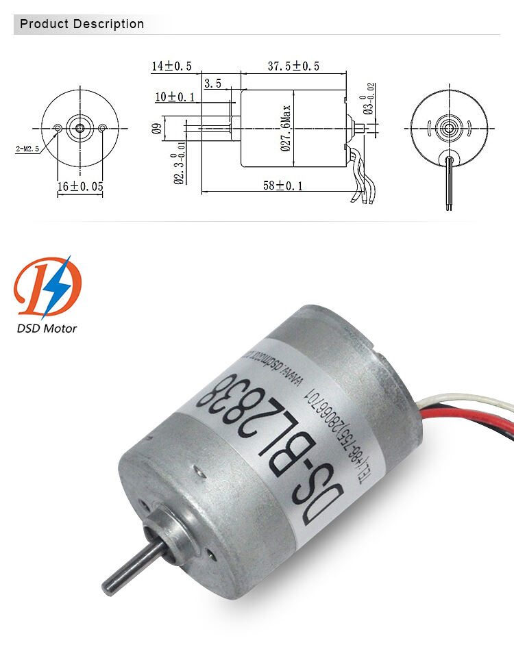 DSD-BL2838 28mm Factory Price Precious Metal 12 volt Brushless DC Motor for Electric Toothbrushes manufacture